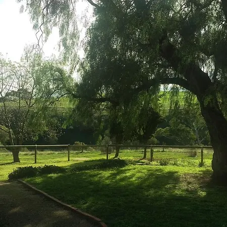 The Cottage At Riverside Farm Lyndoch Exterior photo